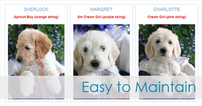 websites that are easy to maintain wordpress websites for dog breeders